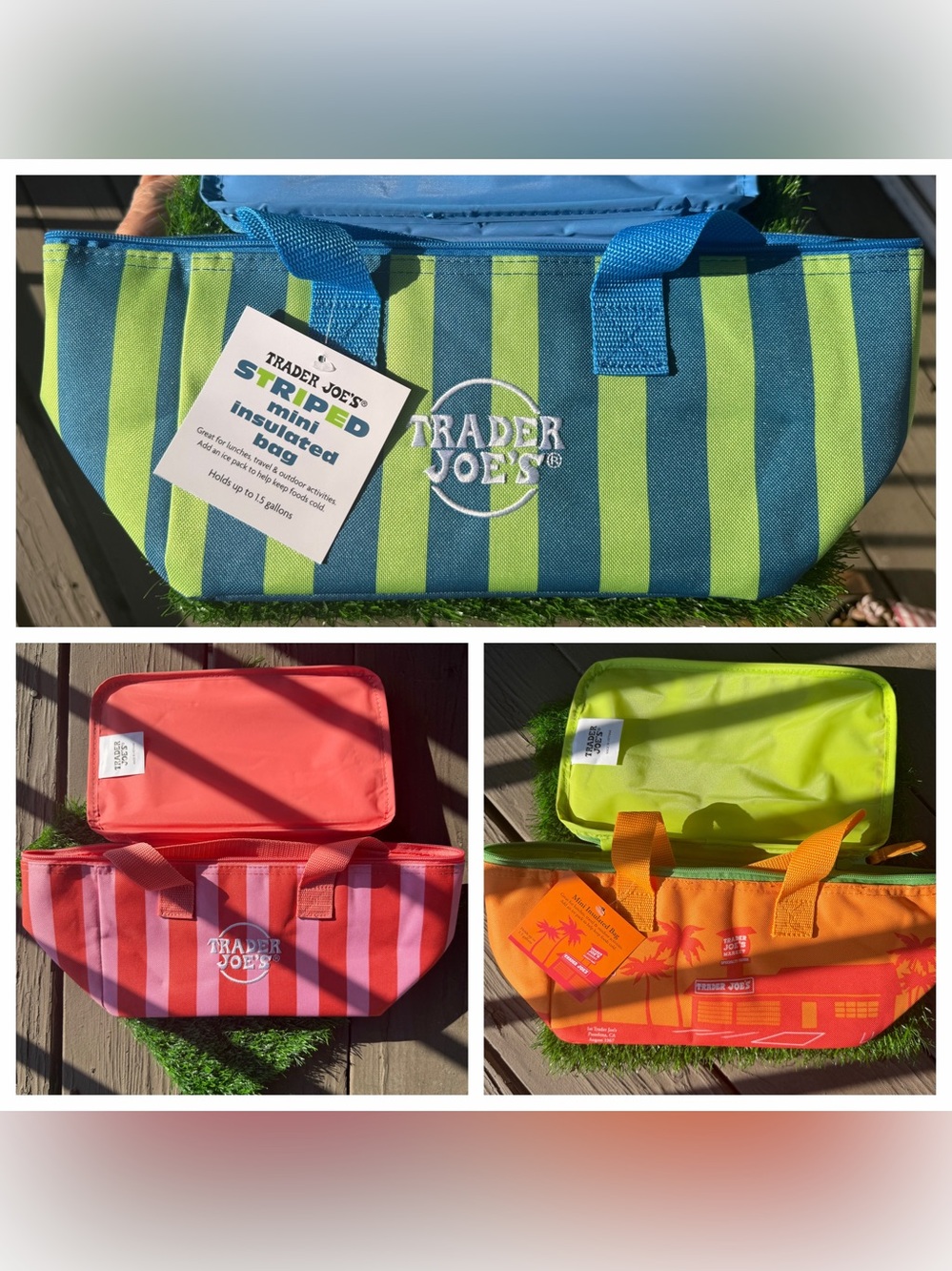 💛Trader Joe’s 2026 Summer Edition Mini Insulated Bags Bundle Set of 3 🌞